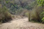 Safari Arba Minch -044.jpg