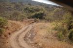Safari Arba Minch -046.jpg