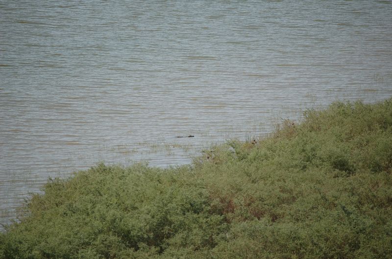 Safari Arba Minch -053.jpg