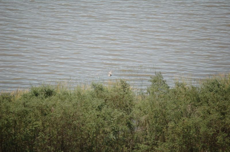 Safari Arba Minch -054.jpg