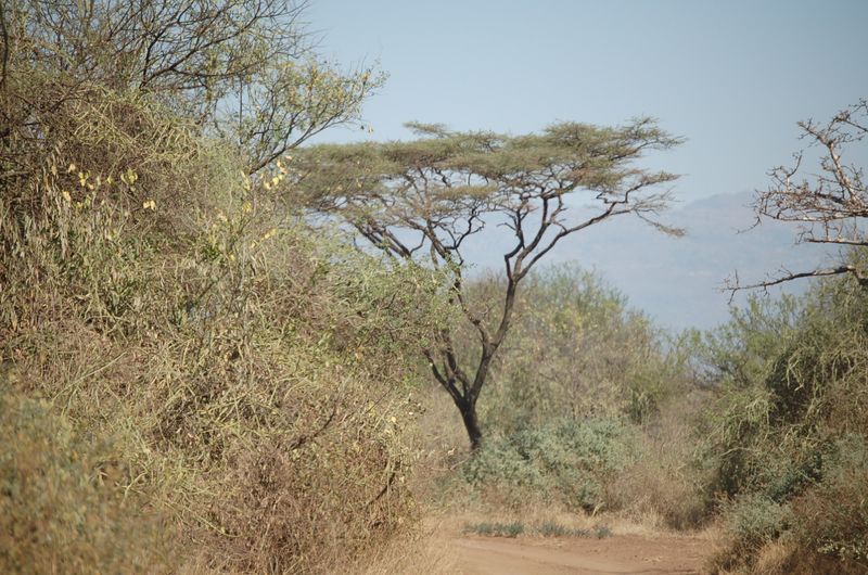 Safari Arba Minch -055.jpg