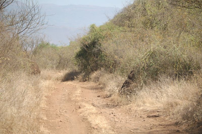 Safari Arba Minch -056.jpg