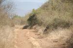 Safari Arba Minch -056.jpg