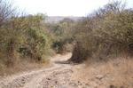 Safari Arba Minch -062.jpg