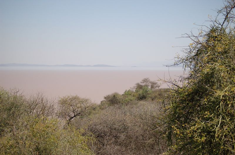 Safari Arba Minch -063.jpg