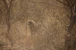 Safari Arba Minch -066.jpg