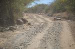 Safari Arba Minch -070.jpg