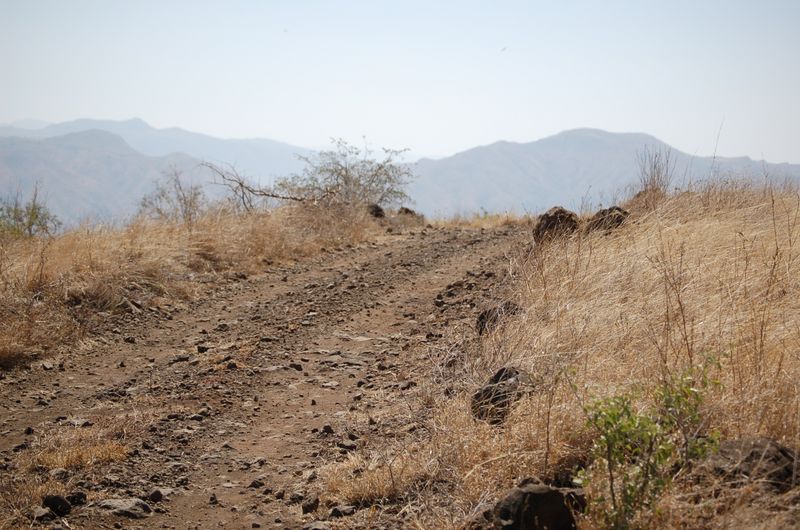 Safari Arba Minch -082.jpg