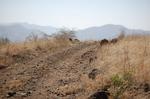 Safari Arba Minch -082.jpg