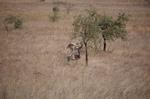 Safari Arba Minch -083.jpg