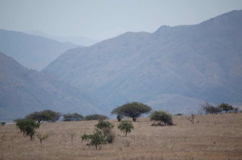 Safari Arba Minch -086.jpg