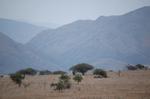 Safari Arba Minch -086.jpg