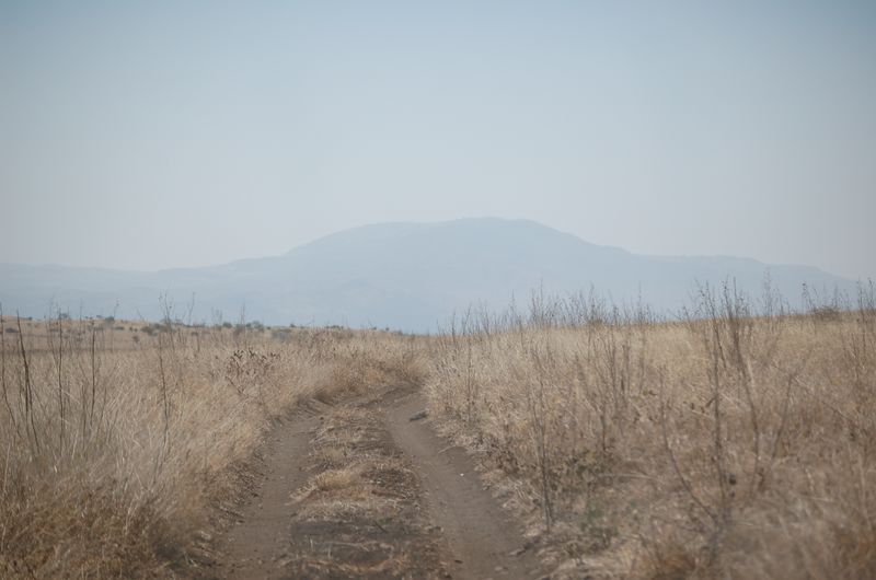 Safari Arba Minch -087.jpg