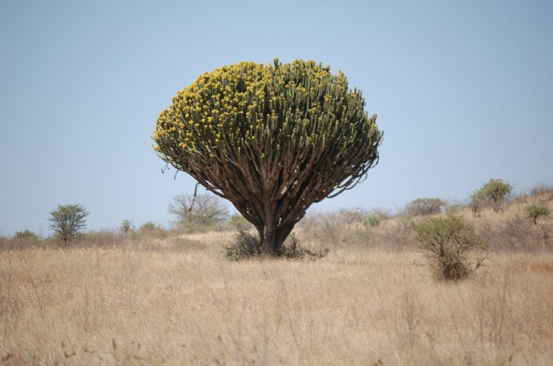 Safari Arba Minch -088.jpg