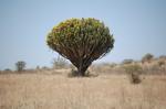 Safari Arba Minch -088.jpg