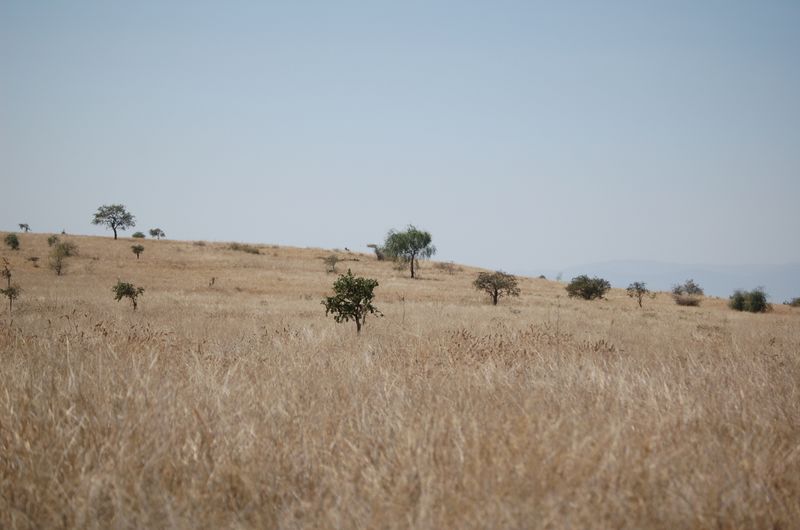 Safari Arba Minch -089.jpg