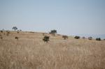 Safari Arba Minch -089.jpg