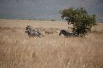 Safari Arba Minch -090.jpg