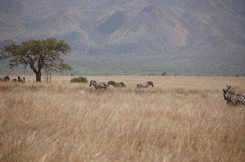 Safari Arba Minch -091.jpg