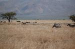 Safari Arba Minch -095.jpg