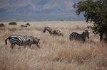 Safari Arba Minch -105.jpg