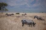 Safari Arba Minch -106.jpg