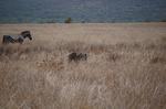 Safari Arba Minch -109.jpg