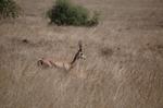Safari Arba Minch -111.jpg