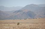 Safari Arba Minch -113.jpg