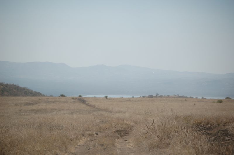 Safari Arba Minch -115.jpg