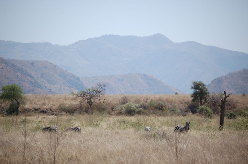 Safari Arba Minch -119.jpg