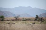 Safari Arba Minch -119.jpg