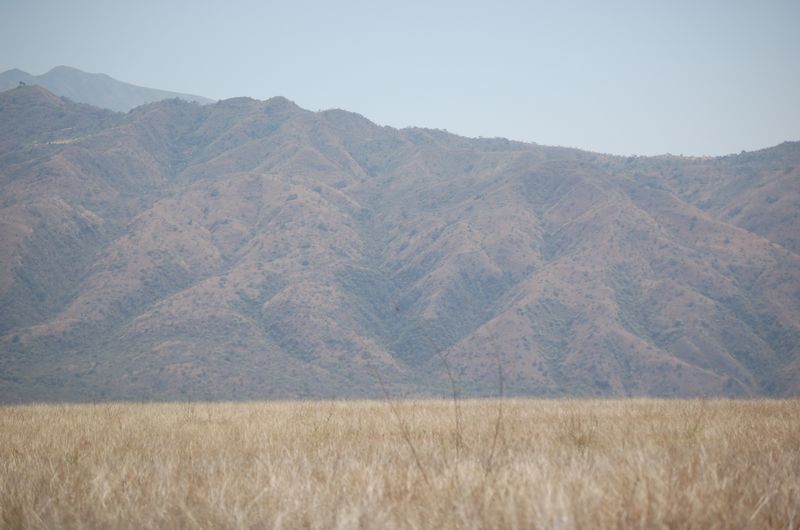 Safari Arba Minch -120.jpg