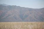 Safari Arba Minch -120.jpg