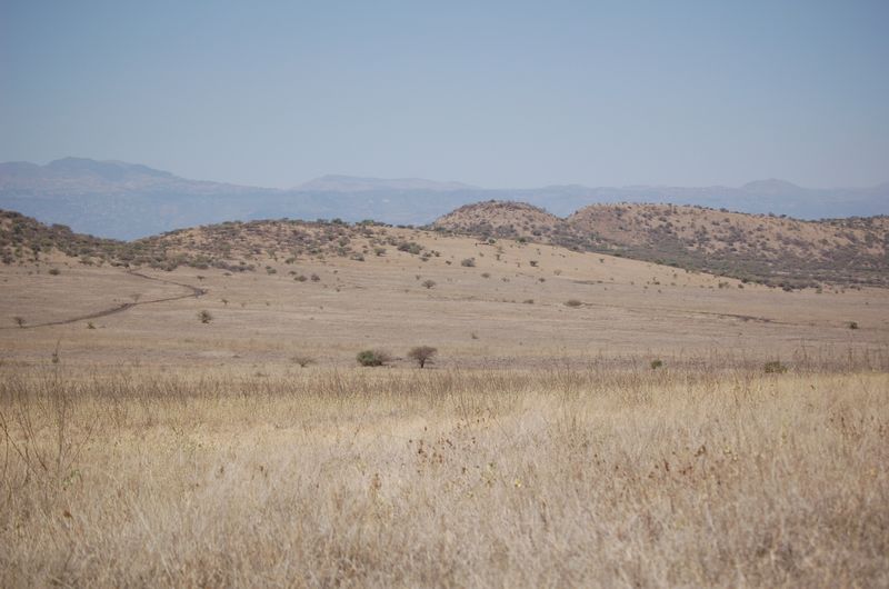 Safari Arba Minch -122.jpg