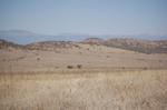 Safari Arba Minch -122.jpg