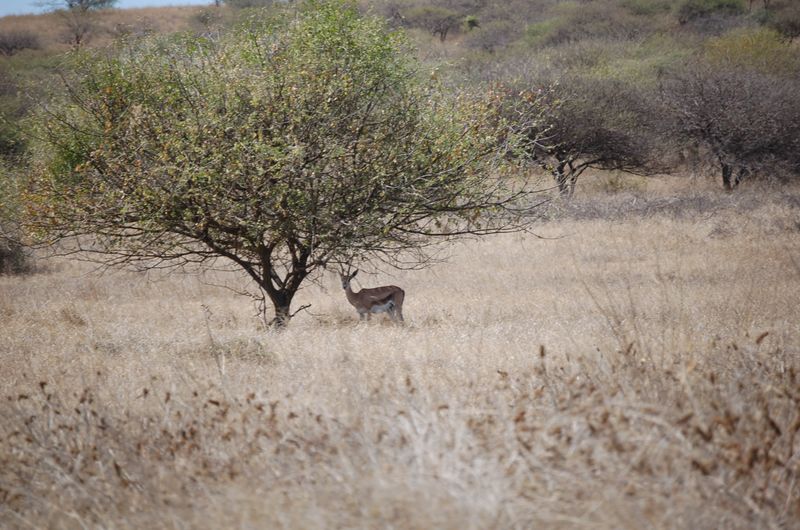 Safari Arba Minch -124.jpg