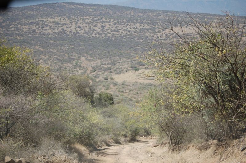 Safari Arba Minch -126.jpg