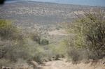 Safari Arba Minch -126.jpg