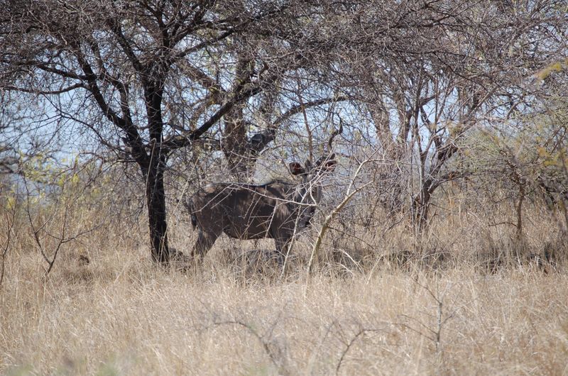 Safari Arba Minch -130.jpg