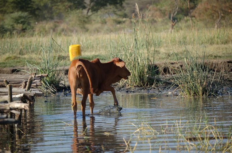Safari Arba Minch -135.jpg