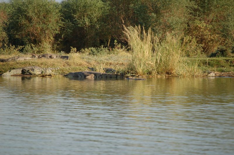 Safari Arba Minch -140.jpg
