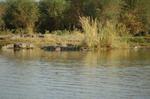 Safari Arba Minch -140.jpg