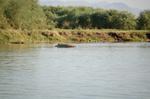 Safari Arba Minch -141.jpg