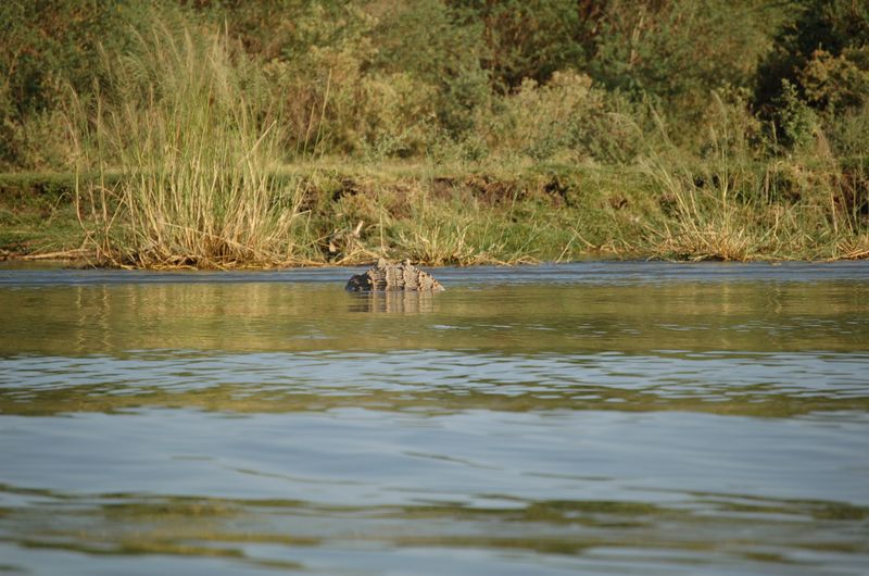 Safari Arba Minch -143.jpg
