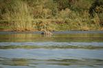 Safari Arba Minch -143.jpg