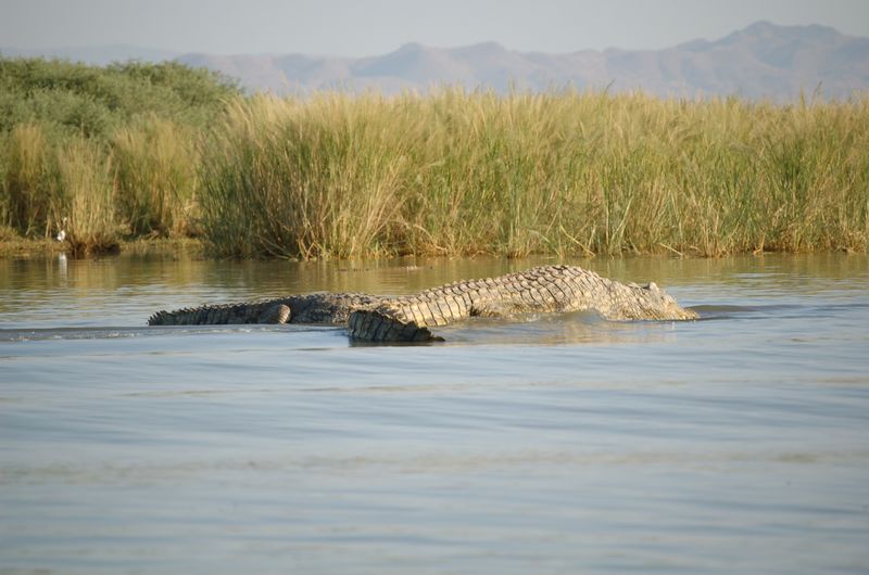 Safari Arba Minch -144.jpg