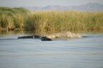 Safari Arba Minch -144.jpg