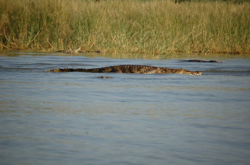 Safari Arba Minch -145.jpg