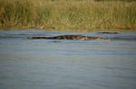 Safari Arba Minch -145.jpg